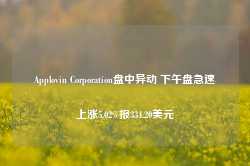 Applovin Corporation盘中异动 下午盘急速上涨5.02%报334.20美元