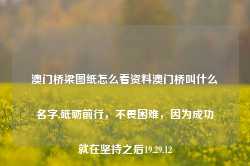 澳门桥梁图纸怎么看资料澳门桥叫什么名字,砥砺前行，不畏困难，因为成功就在坚持之后19.29.12