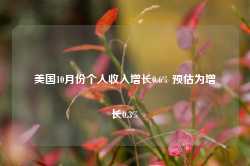美国10月份个人收入增长0.6% 预估为增长0.3%-第1张图片-佛山市川丘建筑工程劳务有限公司