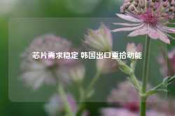 芯片需求稳定 韩国出口重拾动能